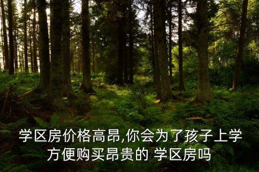  学区房价格高昂,你会为了孩子上学方便购买昂贵的 学区房吗