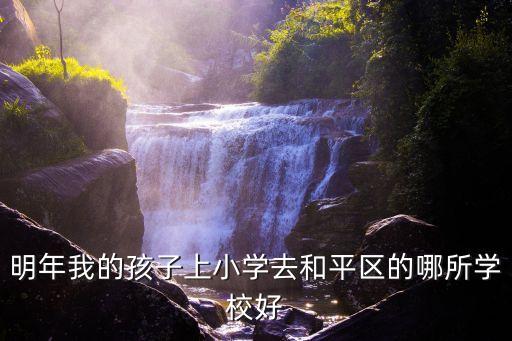 明年我的孩子上小学去和平区的哪所学校好
