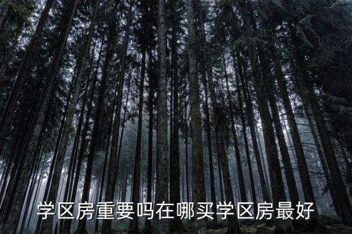 学区房重要吗在哪买学区房最好