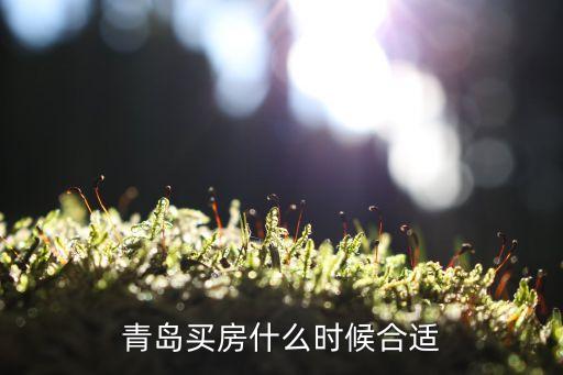 青岛买房什么时候合适