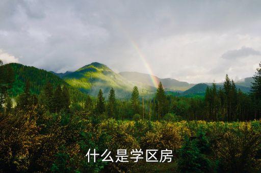 什么是学区房