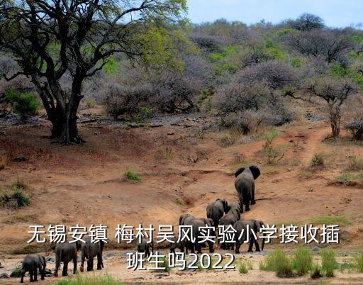  无锡安镇 梅村吴风实验小学接收插班生吗2022