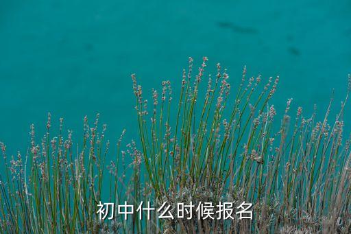 初中什么时候报名