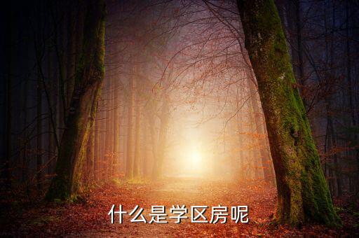 什么是学区房呢