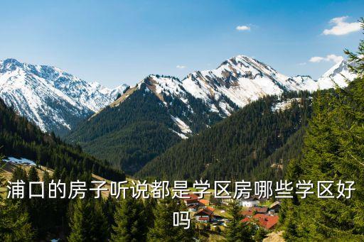 浦口的房子听说都是学区房哪些学区好吗