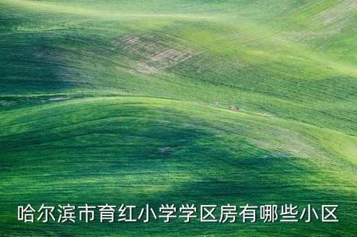 哈尔滨市育红小学学区房有哪些小区