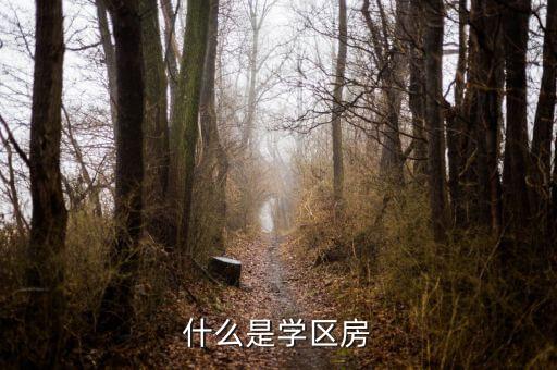 什么是学区房