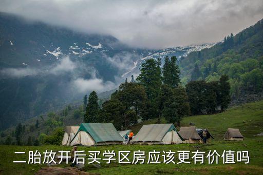 二胎放开后买学区房应该更有价值吗