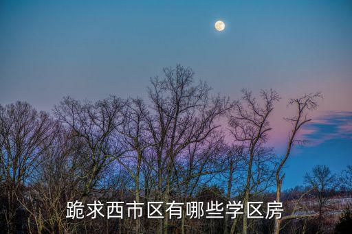 西安学区房哪个区最性价比，求带居住功能的学区房子哪个区比较好