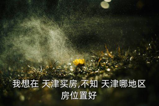 我想在 天津买房,不知 天津哪地区房位置好