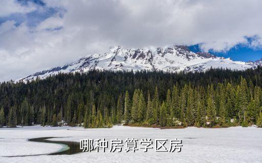 鸿信雅苑是什么学区房，什么是学区房