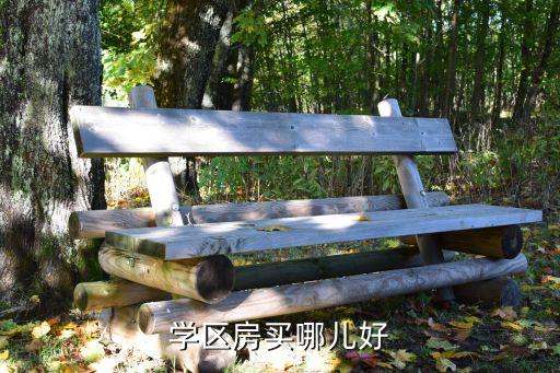 学区房买哪儿好