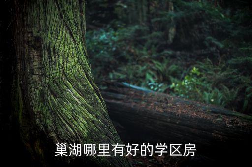 巢湖哪里有好的学区房