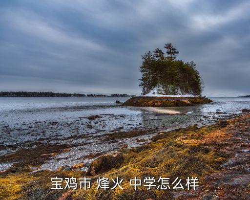 烽火a区属于哪个中学的学区房,武汉烽火属于哪个区