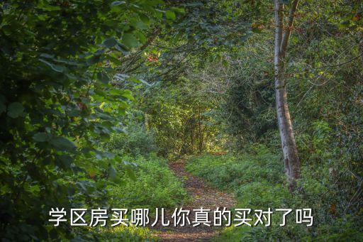 学区房买哪儿你真的买对了吗