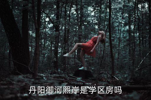丹阳御河熙岸是学区房吗