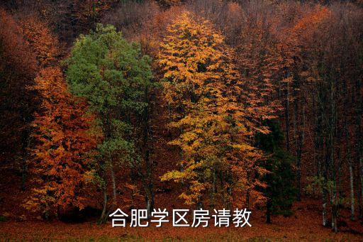 合肥学区房请教
