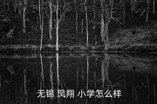  无锡 凤翔 小学怎么样