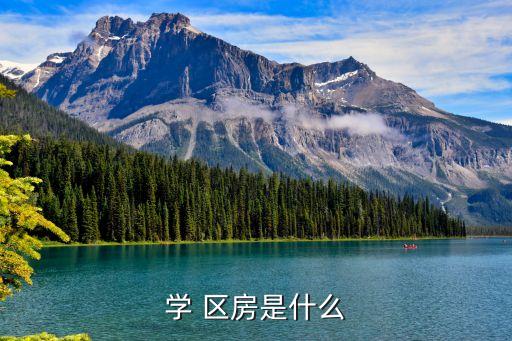 学 区房是什么