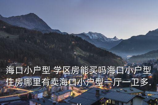 海口小户型 学区房能买吗海口小户型住房哪里有卖海口小户型一厅一卫多...