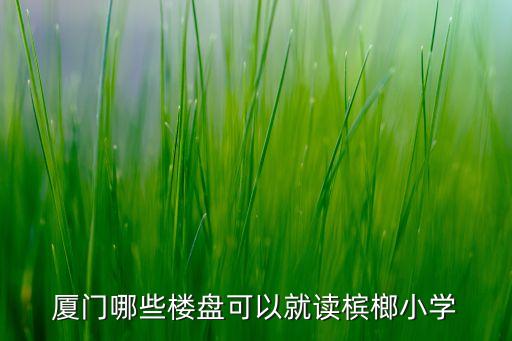 厦门哪些楼盘可以就读槟榔小学