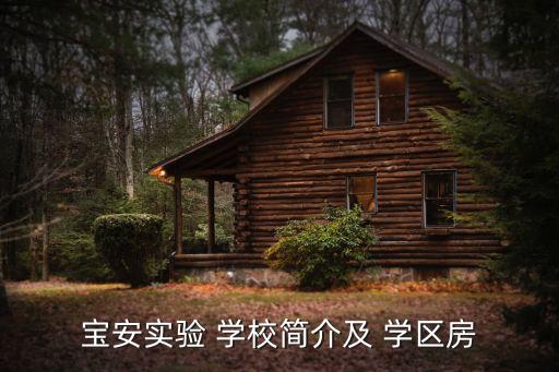 宝安实验 学校简介及 学区房