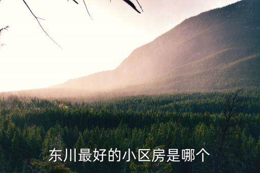 东川最好的小区房是哪个
