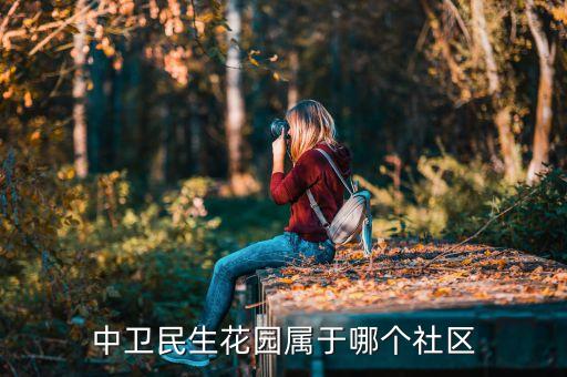 中卫民生花园属于哪个社区