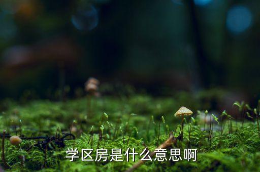  学区房是什么意思啊