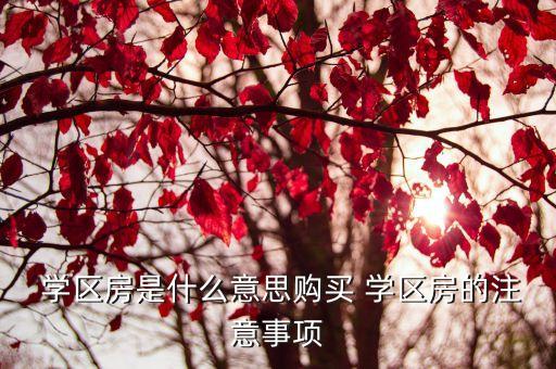 学区房双学区什么意思,买单学区房好还是双学区好