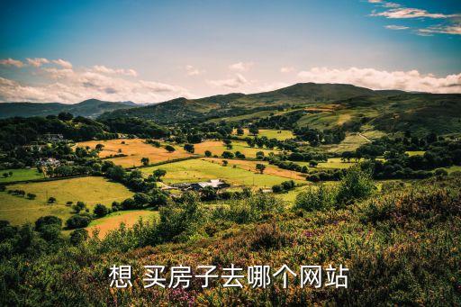 想 买房子去哪个网站