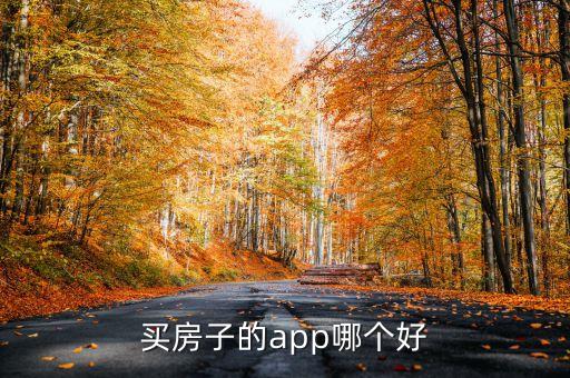 买房子的app哪个好