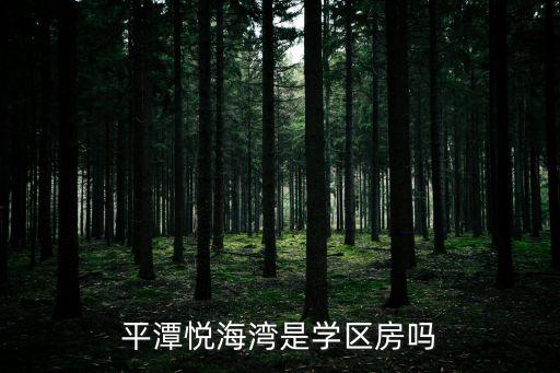 平潭悦海湾是学区房吗