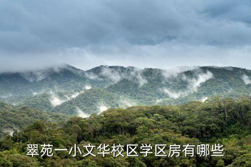翠苑一小文华校区学区房有哪些