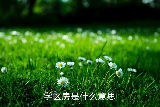 三代学区房什么意思，学区房是什么意思难道想读某个高中必须到旁边买房么那别人租