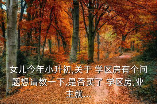 女儿今年小升初,关于 学区房有个问题想请教一下,是否买了 学区房,业主就...