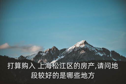 打算购入 上海松江区的房产,请问地段较好的是哪些地方