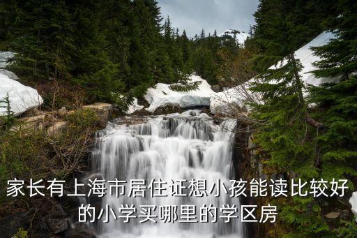 家长有上海市居住证想小孩能读比较好的小学买哪里的学区房