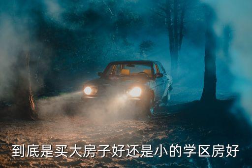 大平层和学区房哪个好住，想问一下是买大房子好还是小的学区房好呢
