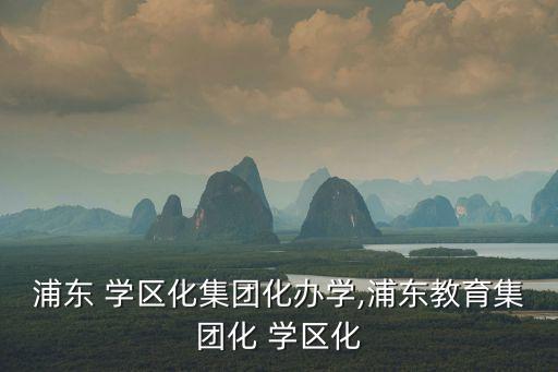 浦东 学区化集团化办学,浦东教育集团化 学区化