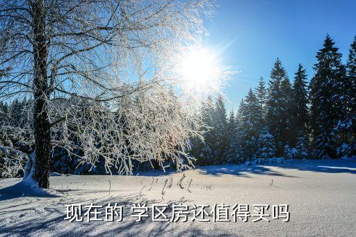 现在的 学区房还值得买吗