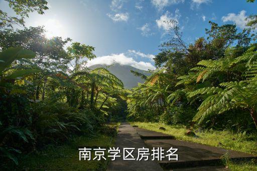 南京学区房排名