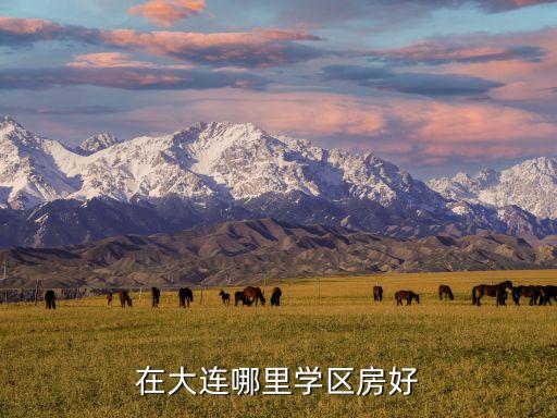 在大连哪里学区房好