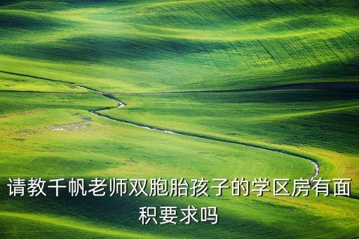 请教千帆老师双胞胎孩子的学区房有面积要求吗