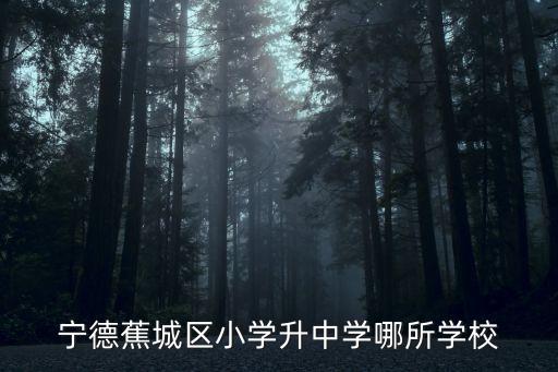 宁德蕉城区小学升中学哪所学校