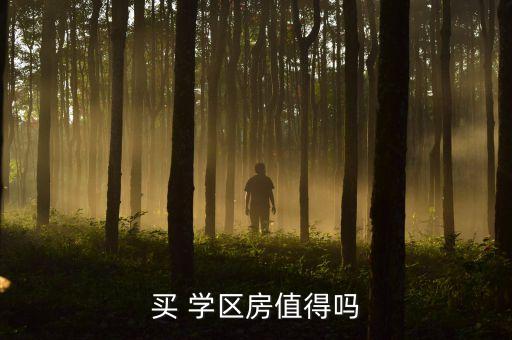买 学区房值得吗