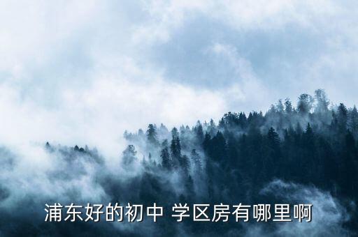 上海张江区哪个学区房好