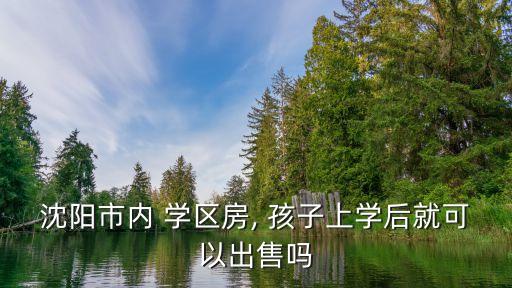 沈阳市内 学区房, 孩子上学后就可以出售吗