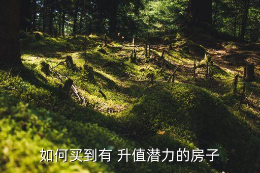如何买到有 升值潜力的房子