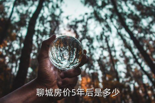 聊城最好的学区房是哪些,聊城小学初中高中最好的学区